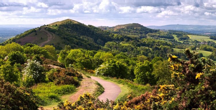 Green rolling hills in springtime