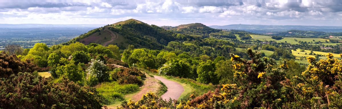 Green rolling hills in springtime