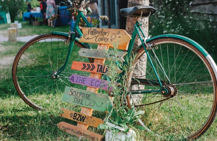 A bicycle standing against a tree with various directional arrows in front of it