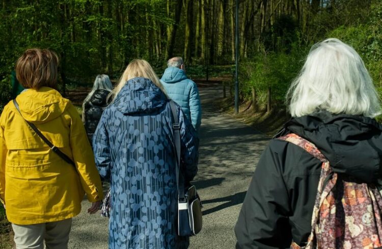 A group of walkers on a path through woodland