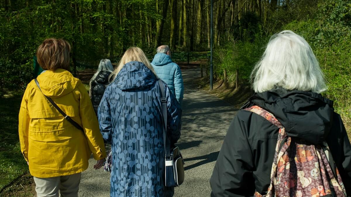 A group of walkers on a path through woodland