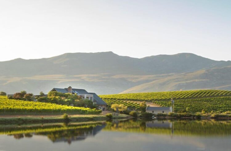 Creation Wines vineyard in South Africa, set between water and hills